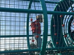 -永定河休闲森林公园