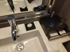 -常州环球恐龙城维景国际大酒店