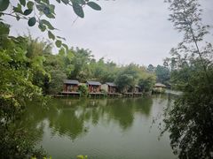 -观澜山水田园