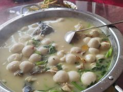 -柘林湖生态鱼馆