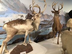 -陕西自然博物馆