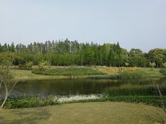 -上海长兴岛郊野公园