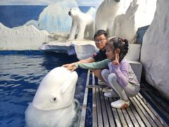 -秦皇岛乐岛海洋王国