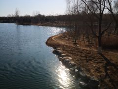 -大兴滨河森林公园