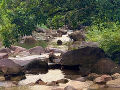 -广州白江湖森林公园