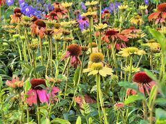 -人民公园(罗湖区)