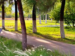 -汉长安城未央宫国家考古遗址公园