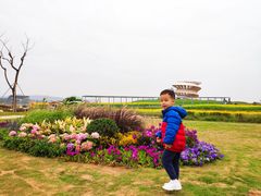 -光明小镇欢乐田园