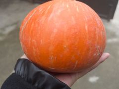 -阿兹凯乐·老洋房西餐