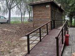 -西青郊野公园