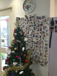 -星童star.kids儿童发型设计·满月胎发(玉兰花园店)