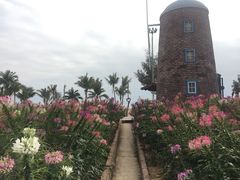 -玫瑰海岸文化旅游度假区