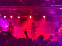 -坚果NUTS