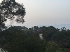 -金鸡山公园