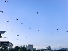 -黑石礁公园
