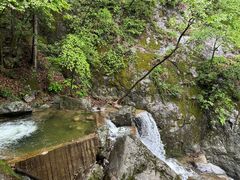 -牛背梁国家森林公园