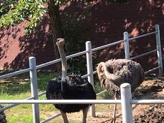 -西安秦岭野生动物园