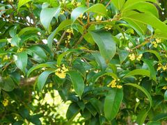 -白塘生态植物园