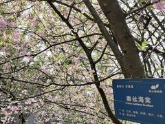-南山植物园