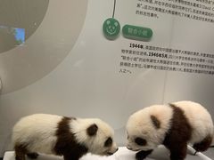 -四川大学博物馆