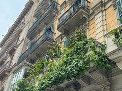 -Bar Centric Raval