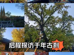 -无锡惠山寺