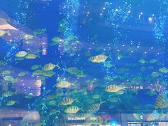 -成都浩海立方海洋公园