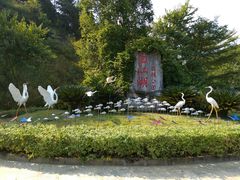 -广州白江湖森林公园