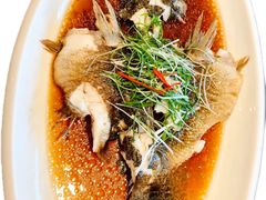 -骏莱海鲜鱼港(五角场店)