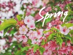 -上海辰山植物园