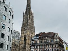 -斯蒂芬主教座堂(Stephansdom)
