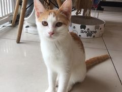 -平行世界·猫咖(首经贸店)