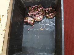 -七的湖·江南蟹舫·阳澄湖农家菜(蟹舫苑店)