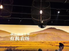 -湘颂·湘味家宴(侨鑫店)