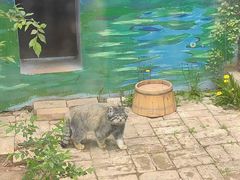 -青藏高原野生动物园