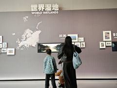 -中国湿地博物馆