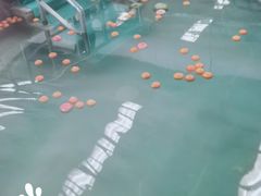 -南宫温泉水世界