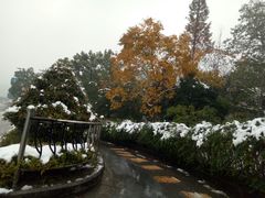 -菲滋意式餐厅(萧山市心店)