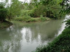 -桤木河湿地公园