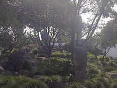 -五峰园
