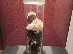 -青海藏文化博物院