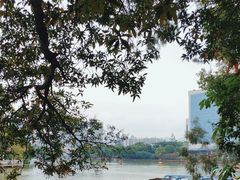 -西湖公园(鼓楼区)