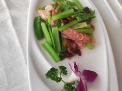 -云中小雅