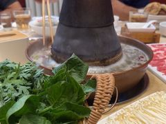 -阳坊大都涮羊肉(阳坊总店)