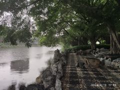 -西湖公园(鼓楼区)