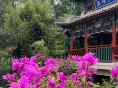-红螺寺
