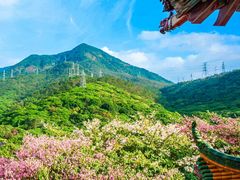 -东莞观音山旅游风景区