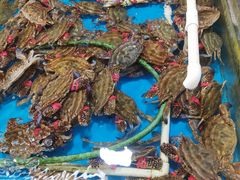-韩家墅海吉星农产品批发市场