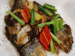 -鸽王世家(东华东路店)