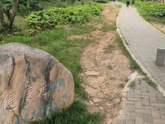 -青龙山国家森林公园
